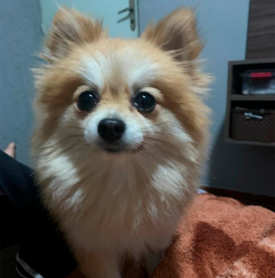 Maggie